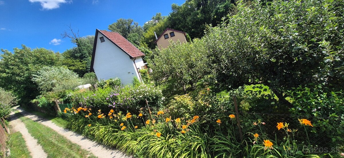 Chata na Devínskej ceste/Karloveské rameno - 4