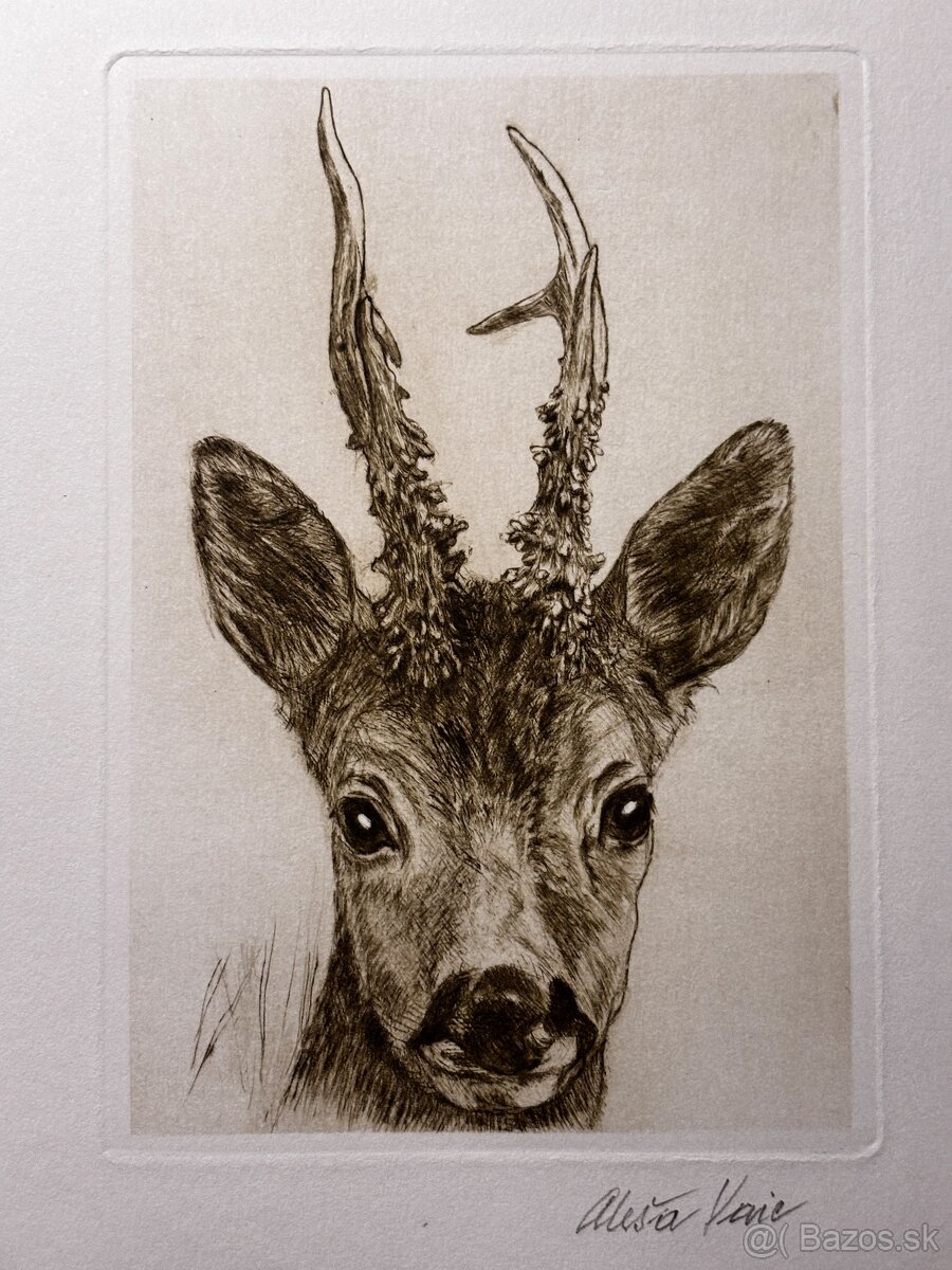 Aleš Vaic - lovecka tematika - 4