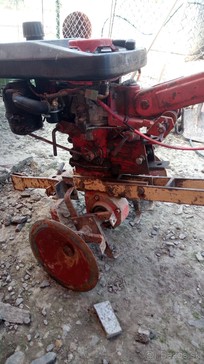 Predám Tera Vari jikov - 4