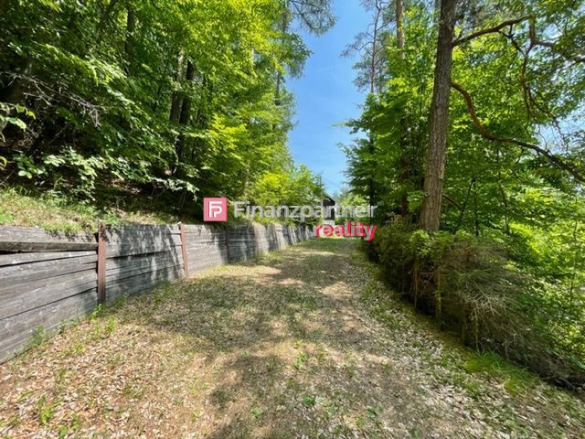 Poľovnícka rekreačná chata versus dom Lipovce (F463-13-ANM) - 4