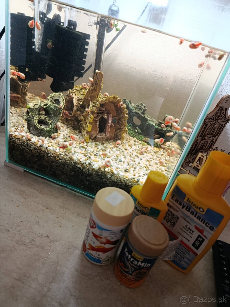 Aqvarium - 4