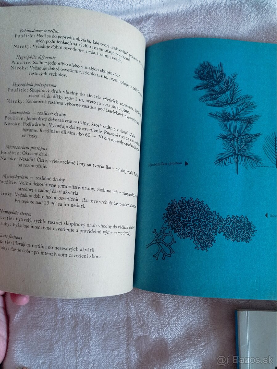 Ryby akvaristika knihy - 4