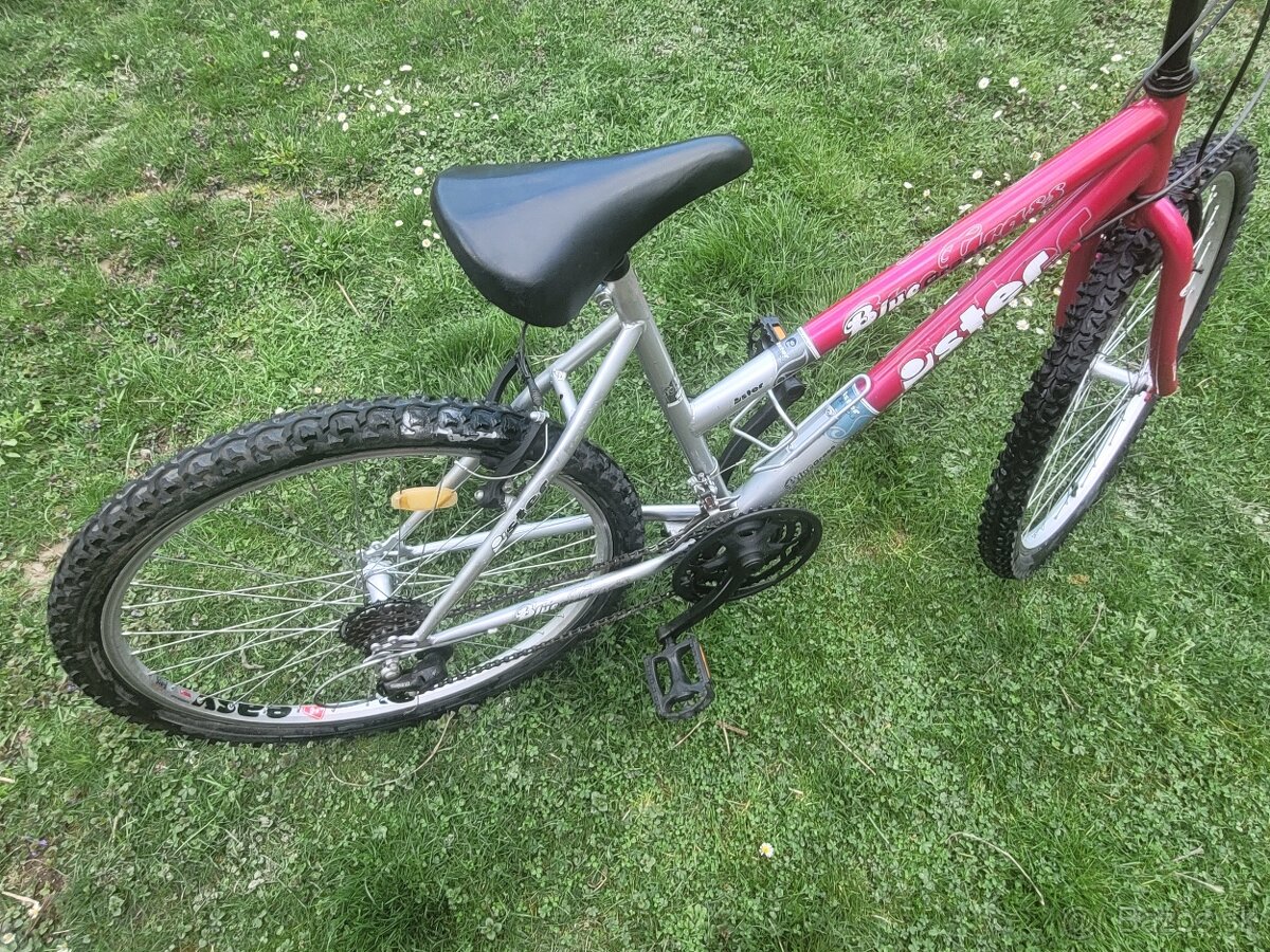 Predam bike BLUE GRASS - 4