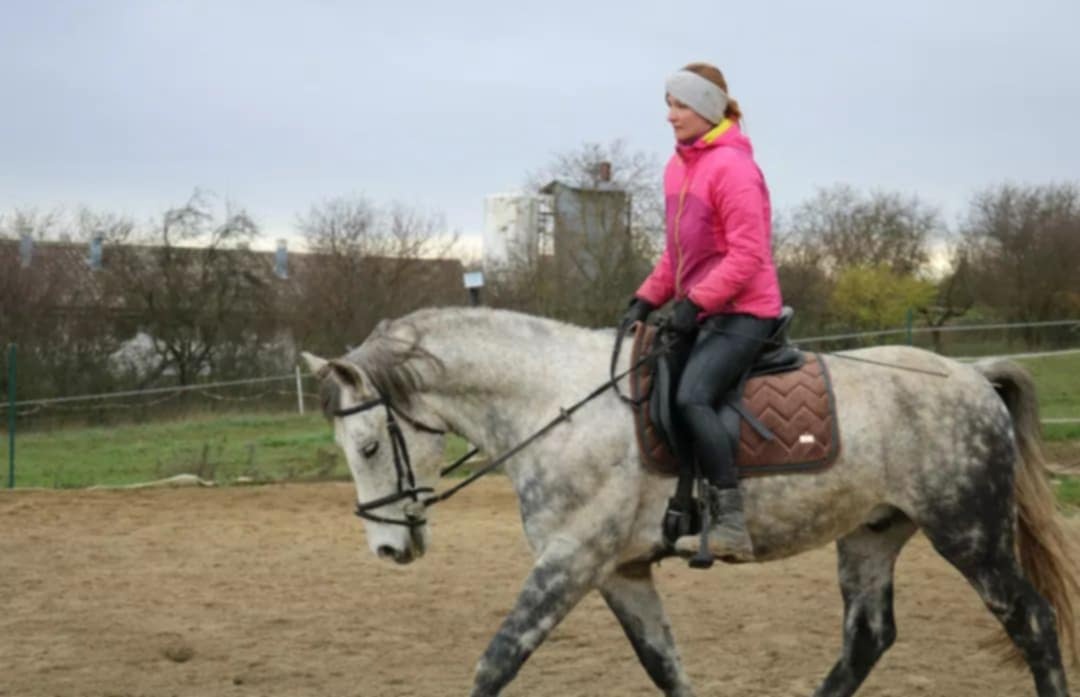 Valach do PRENÁJMU - 4