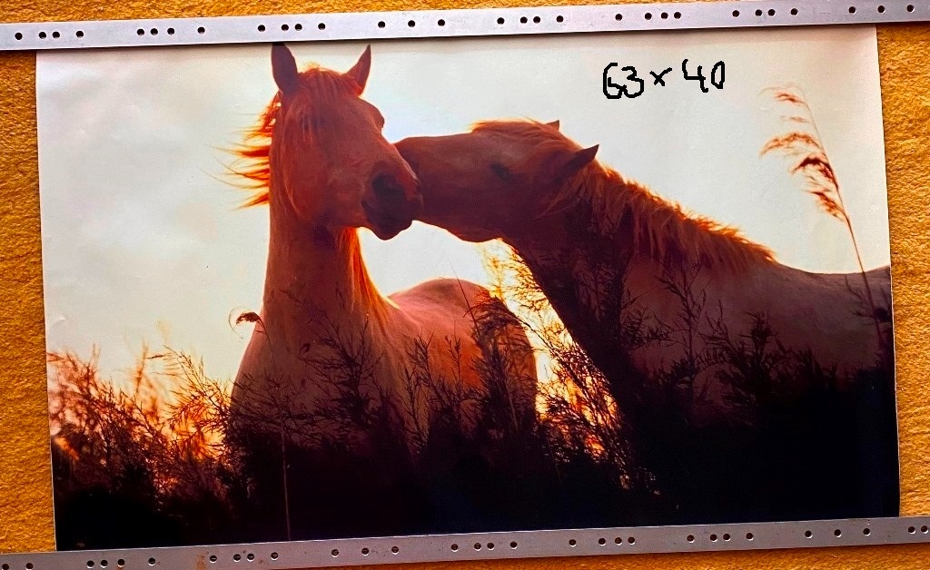 NHL kartičky, tapety koňov,... - 4