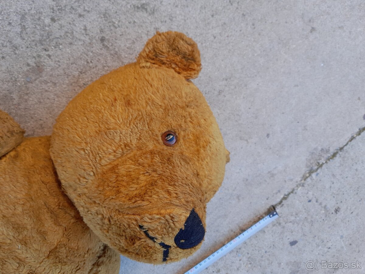 Predám 70 ročného medveďa - 4