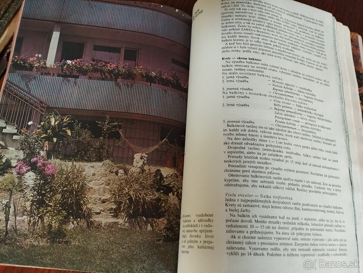 Magazín Rok s Evou - 4