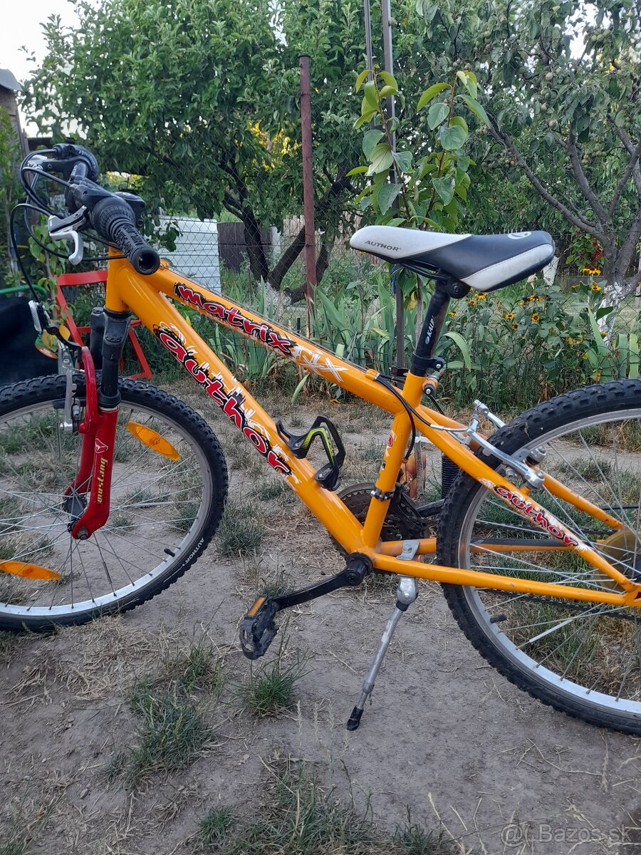 Author 24ka bicykle - 4