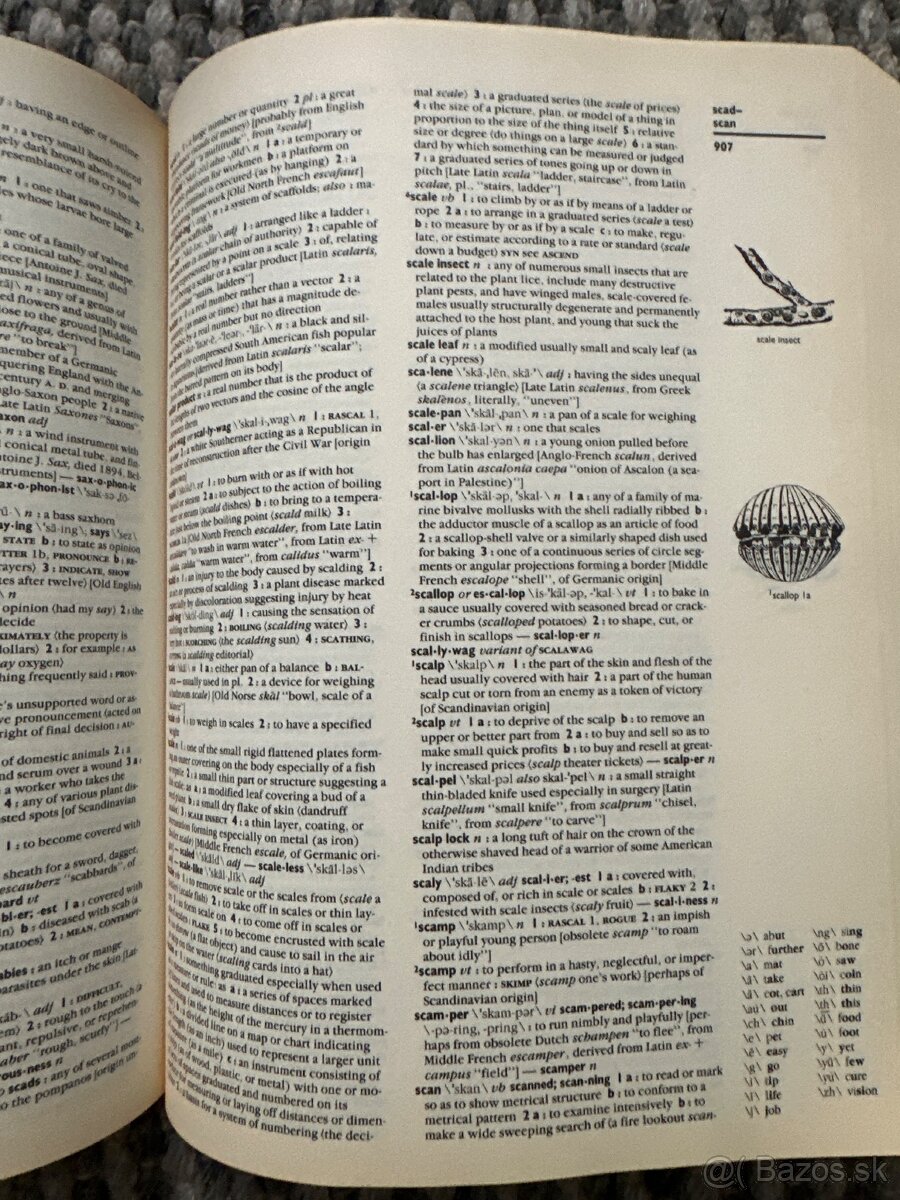 Webster’s new encyclopedic dictionary - 4