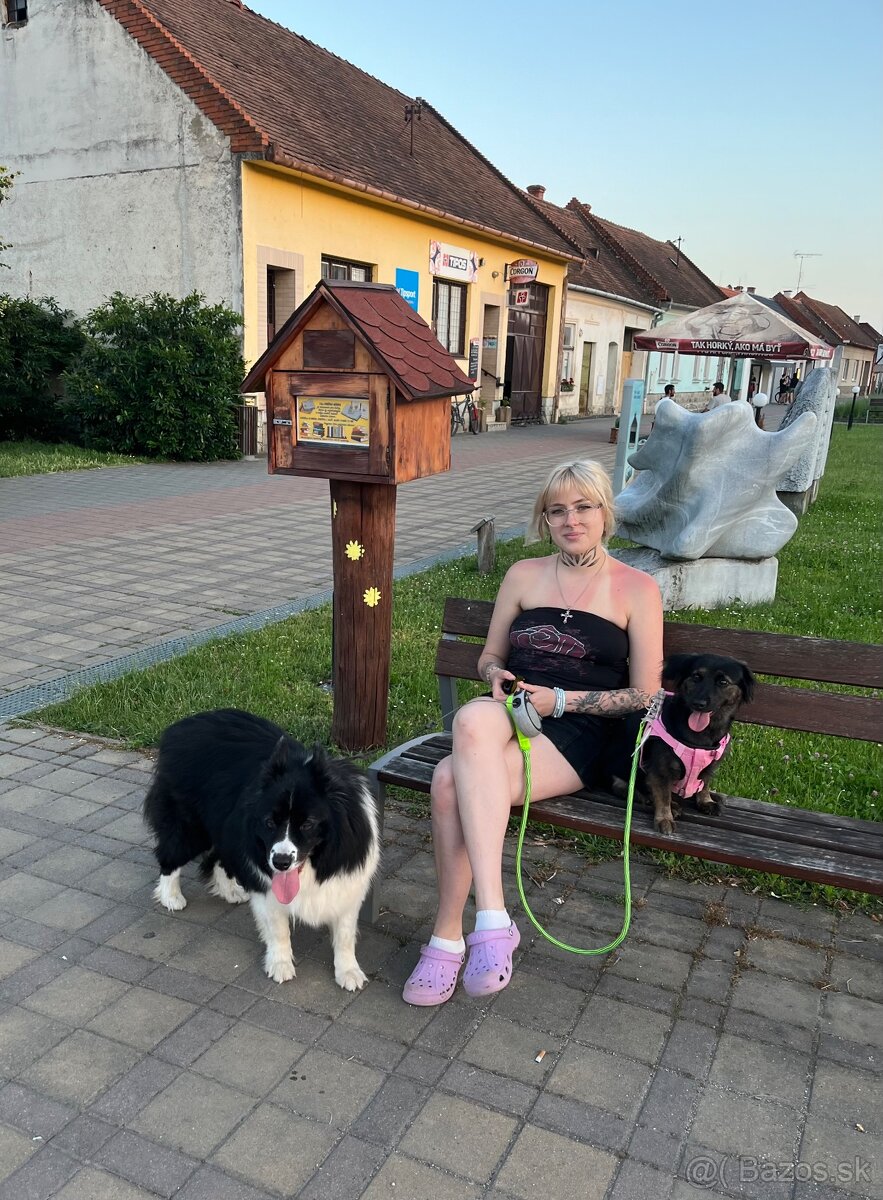 Stráženie psov, iných zvierat - 4