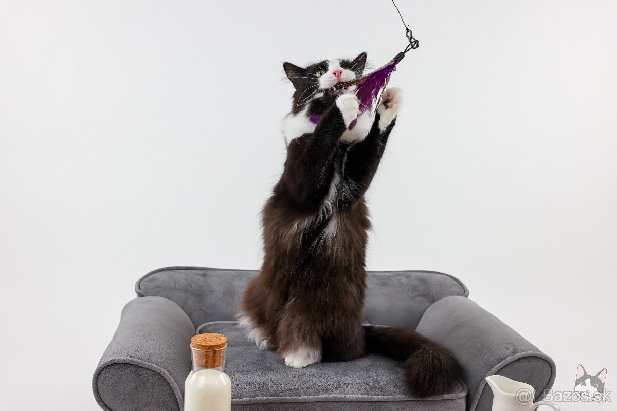 KEVIN hľadá domov - 4