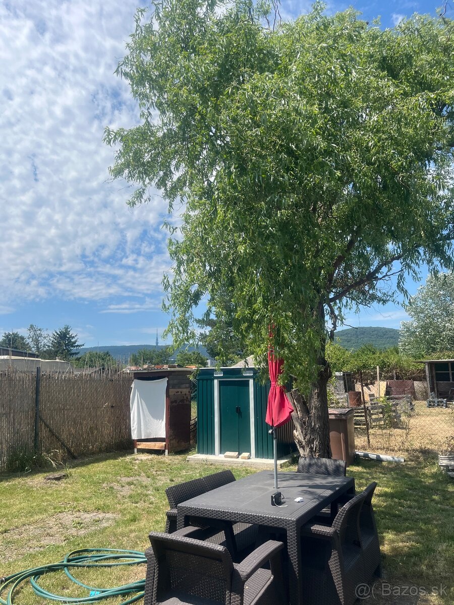 Záhrada Ba-Rača Žabí Majer - 4