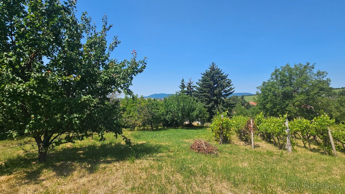 Predaj rodinný dom Nitra - Veľký Lapáš, pozemok 2780 m2 - 4