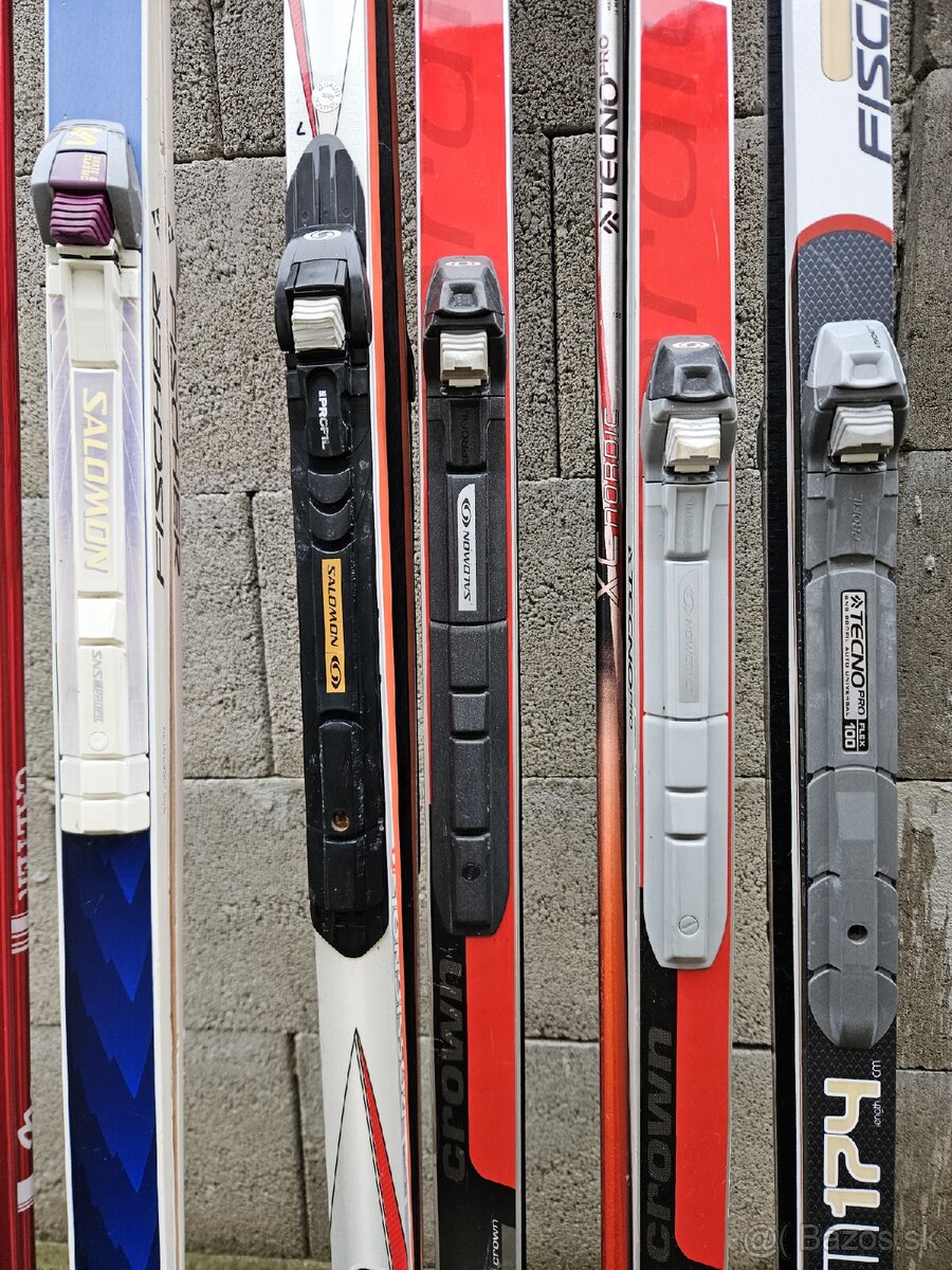 Bezky, palice na bezky, topanky - 4