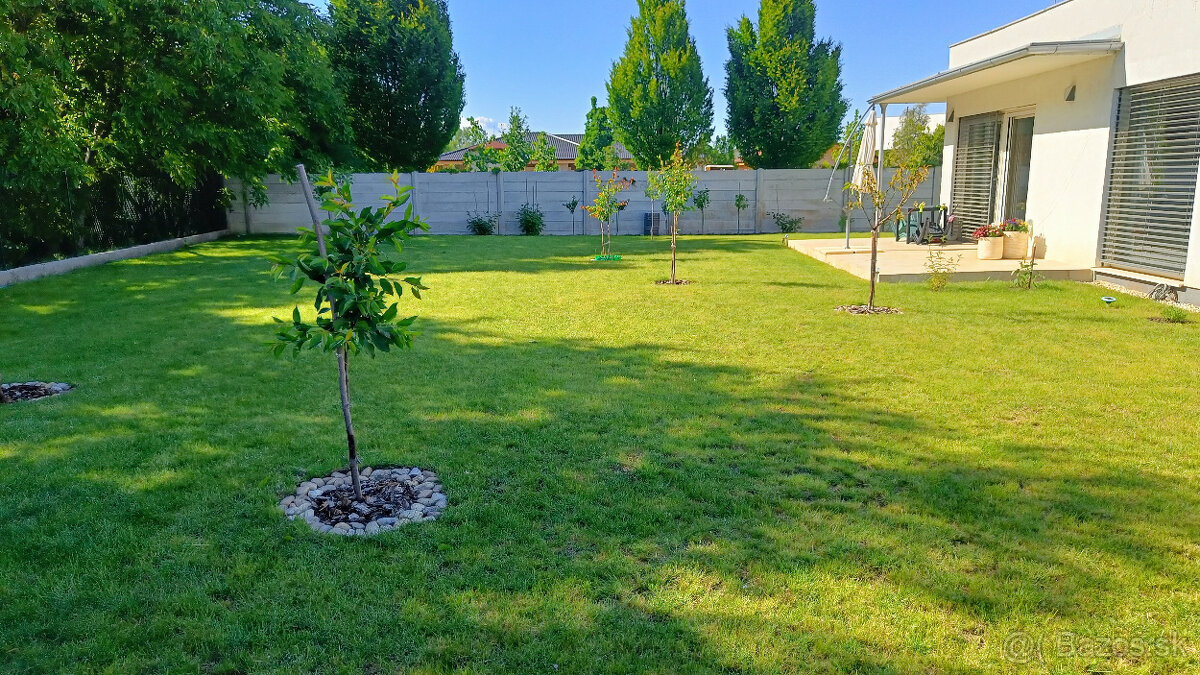 RD v Galante-rod.dôvody. - 4