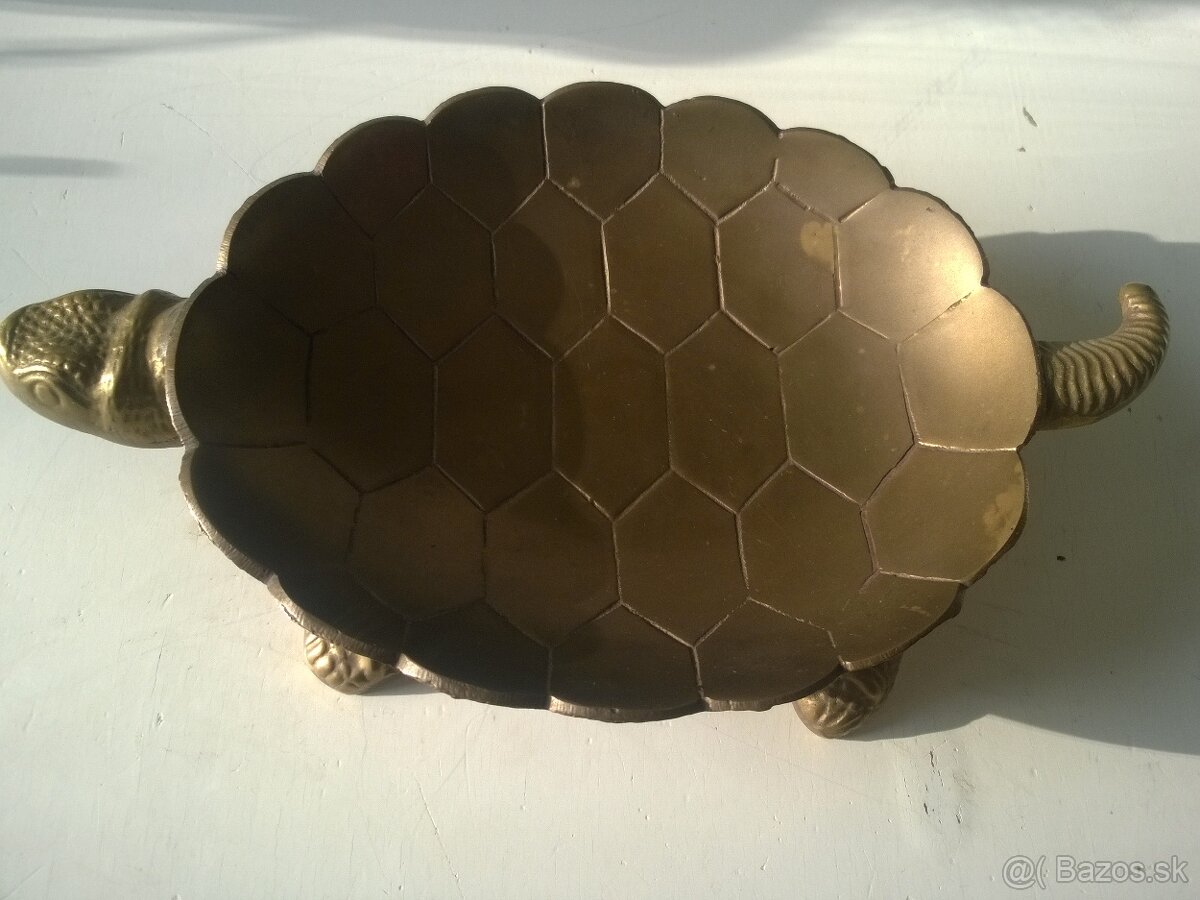 veľká mosadzná korytnačka - 4
