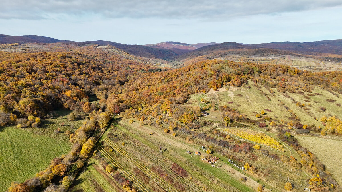 Pekný lesný pozemok kúsok od vyhliadky Vimperk - 4