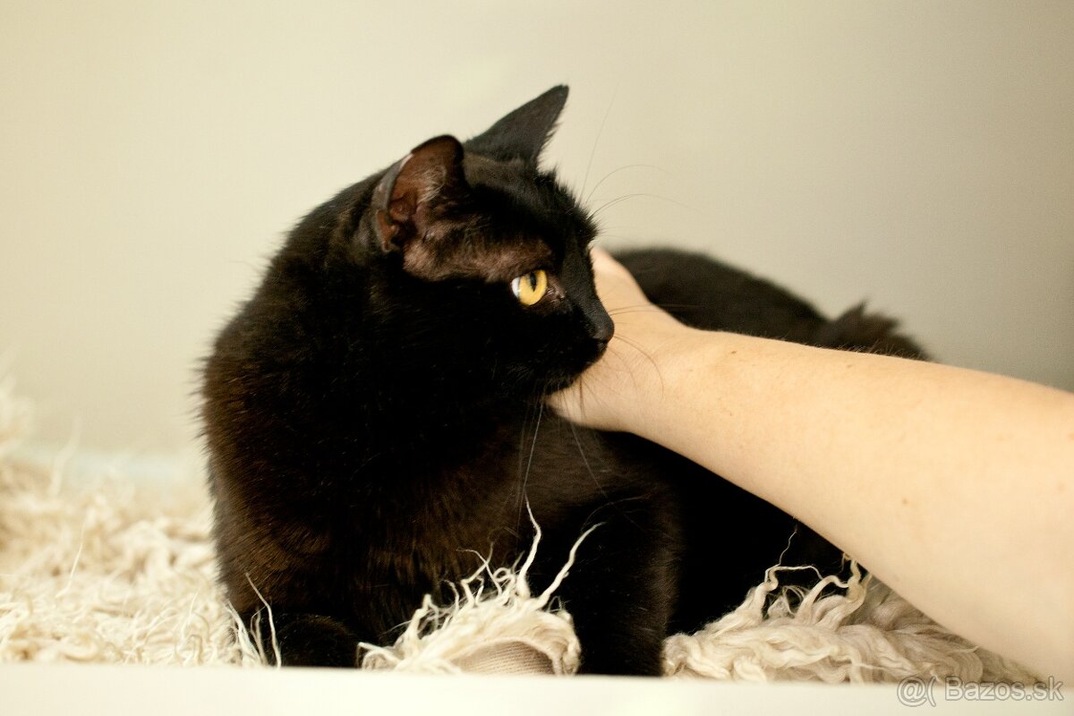 ❤ Moryana - dôverčivá, dobrá a pokojná - 4