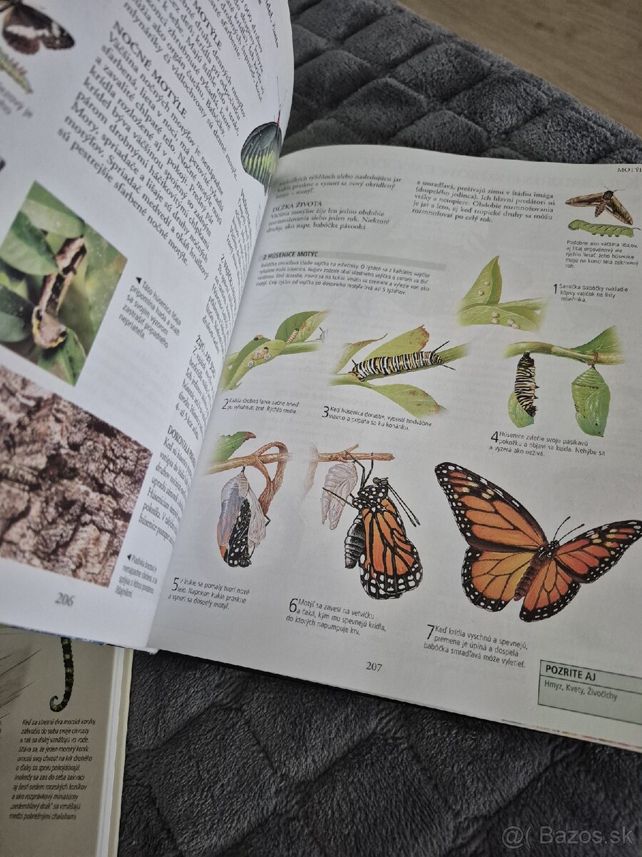 Knihy encyklopedie - 4