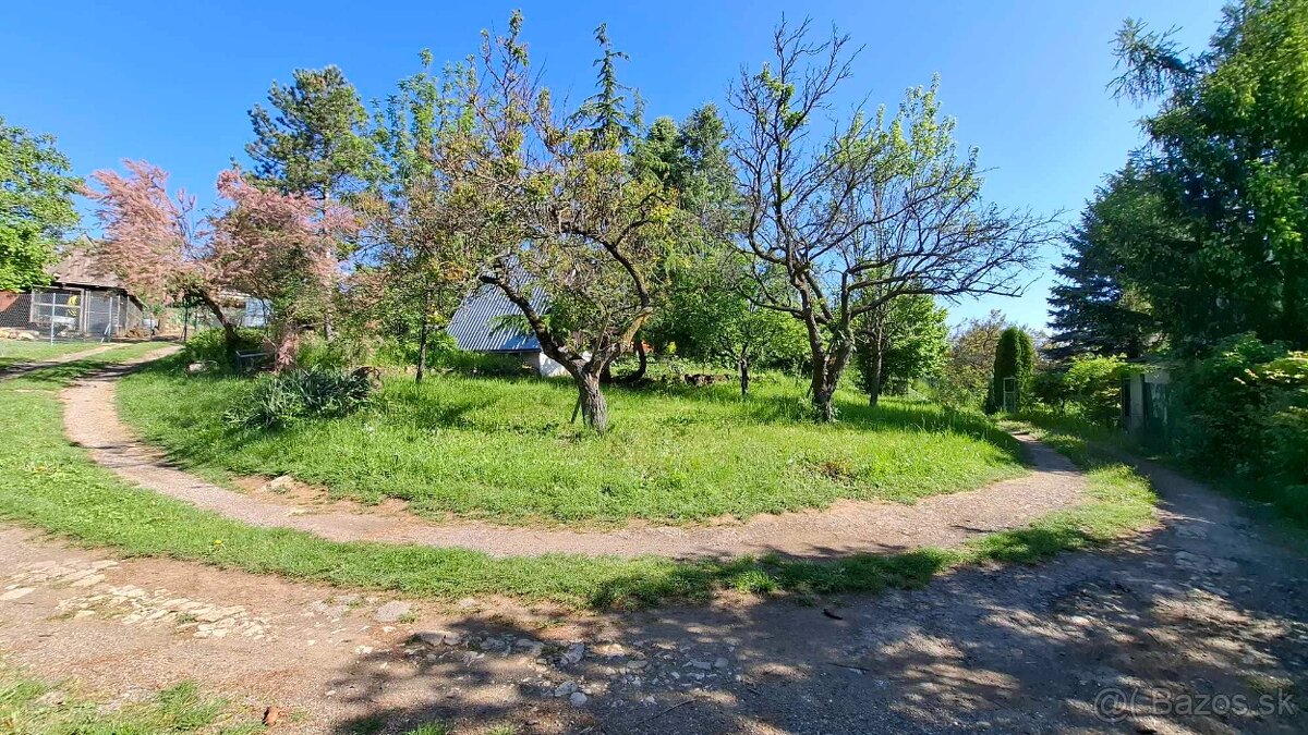 Záhrada nad Dubčekovou ulicou NMnV - 4