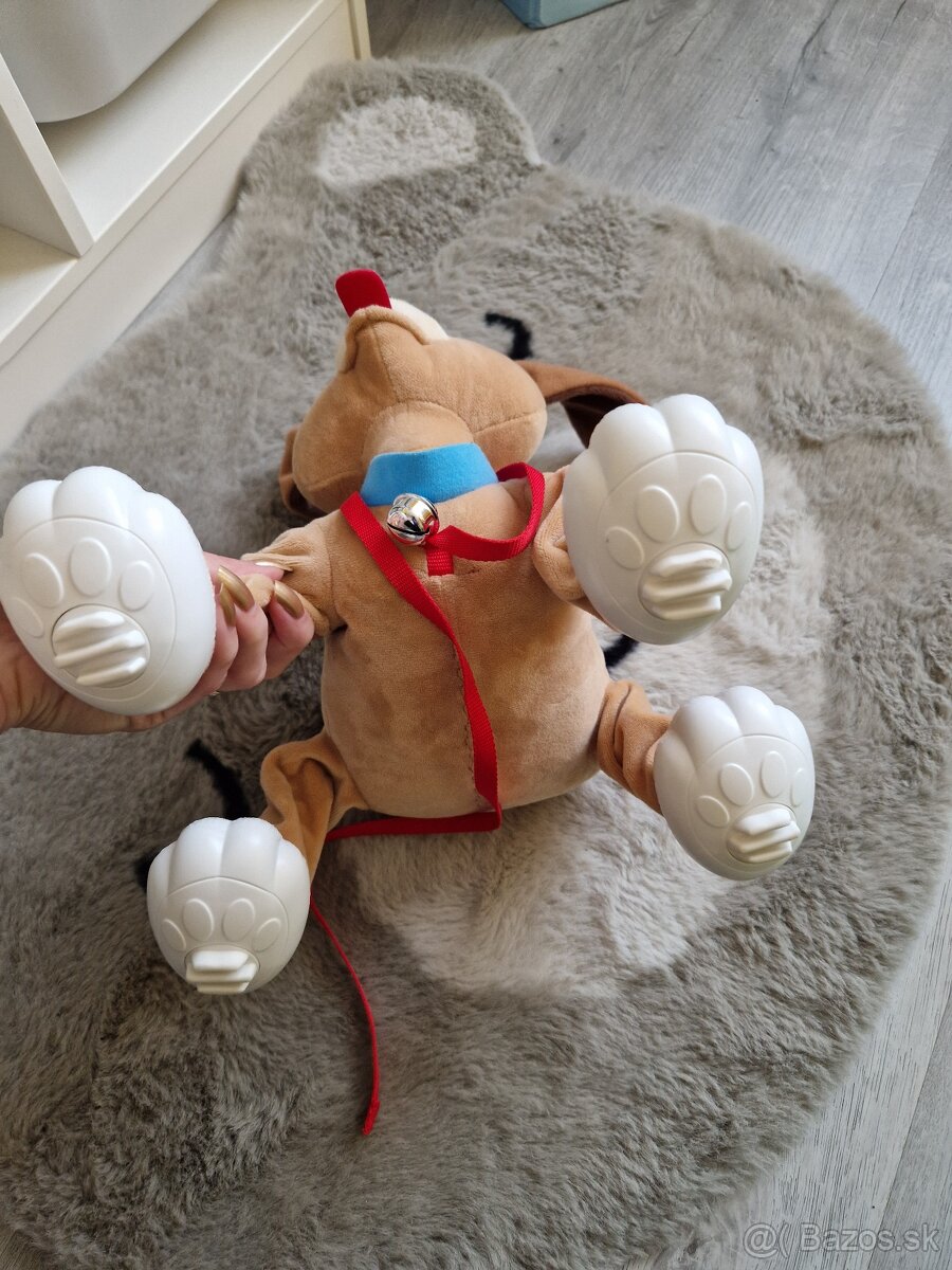 Predám psíka Floppy - 4