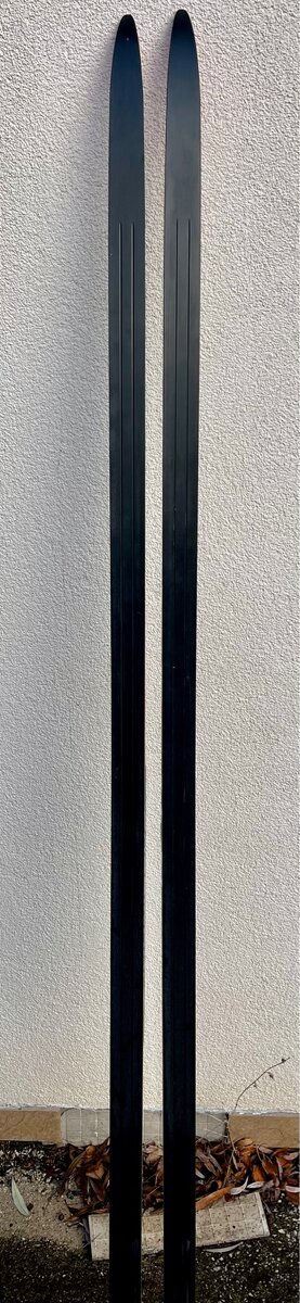 Rossignol Delta SK - 4