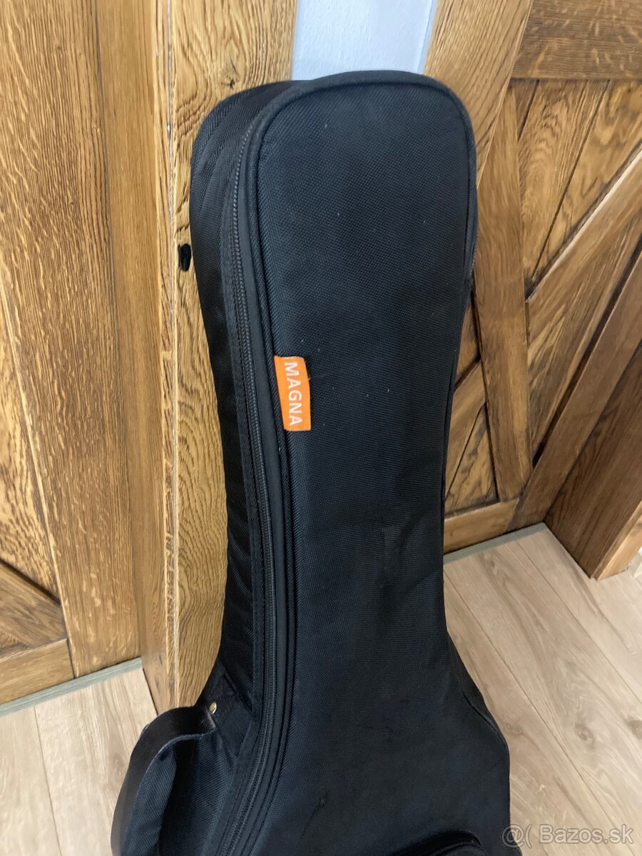 Púzdro na gitaru - 4