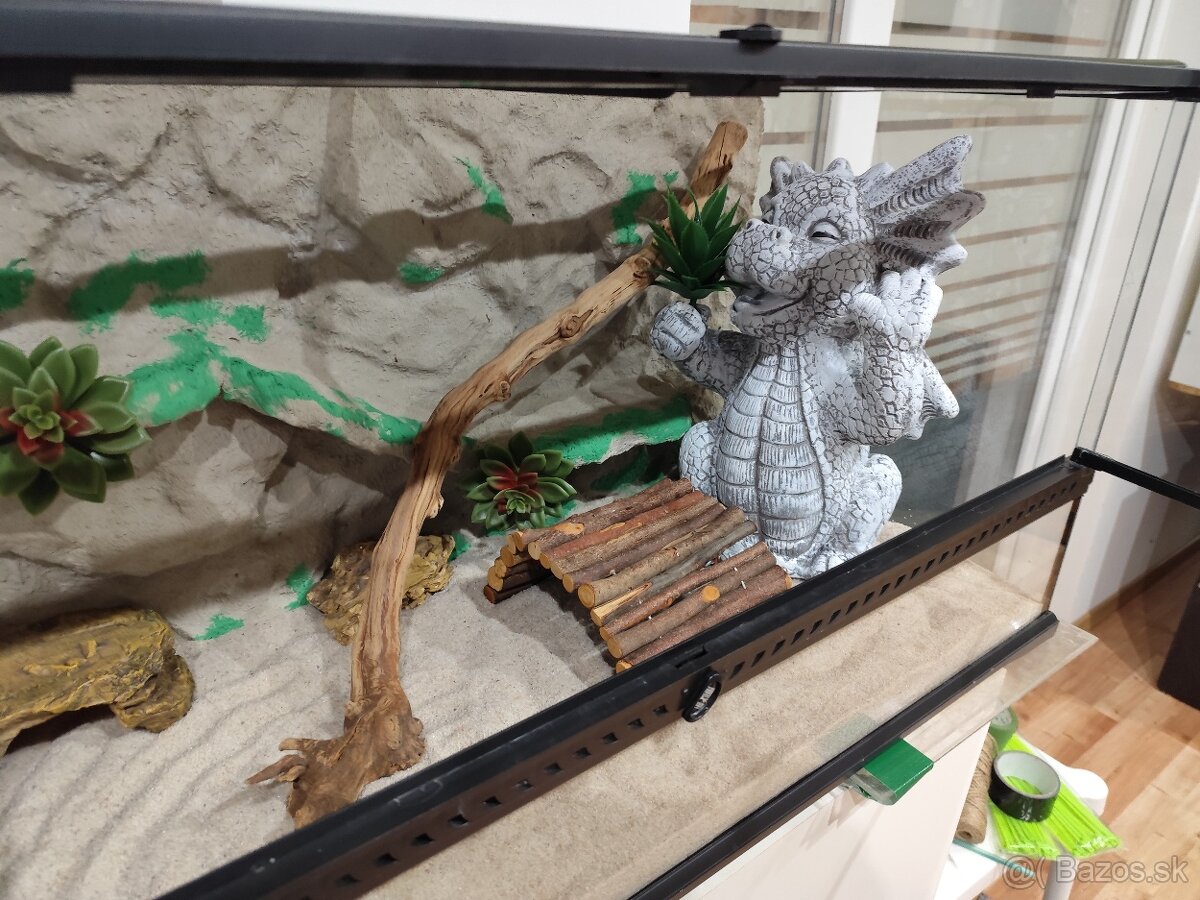 Agama bradatá s terariom Exo terra - 4