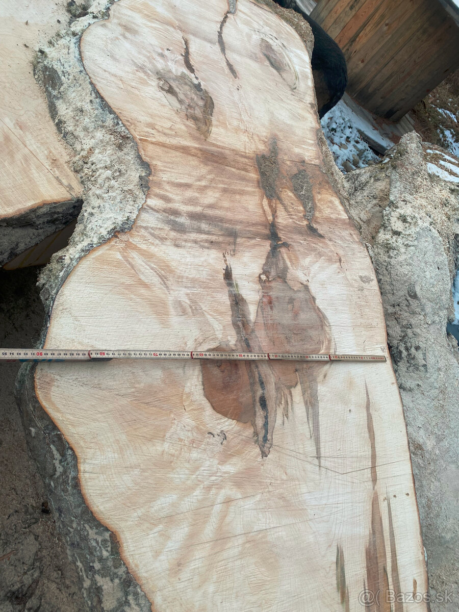 Rezivo Buk Dub Jelša Javor. - 4