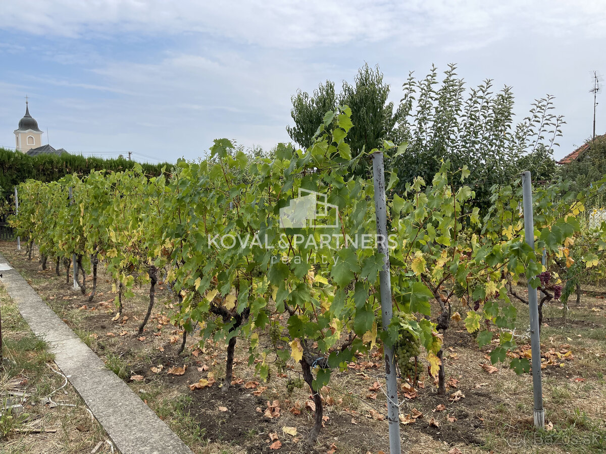 Rodinný dom v Nitrianskych Hrnčiarovciach - 4