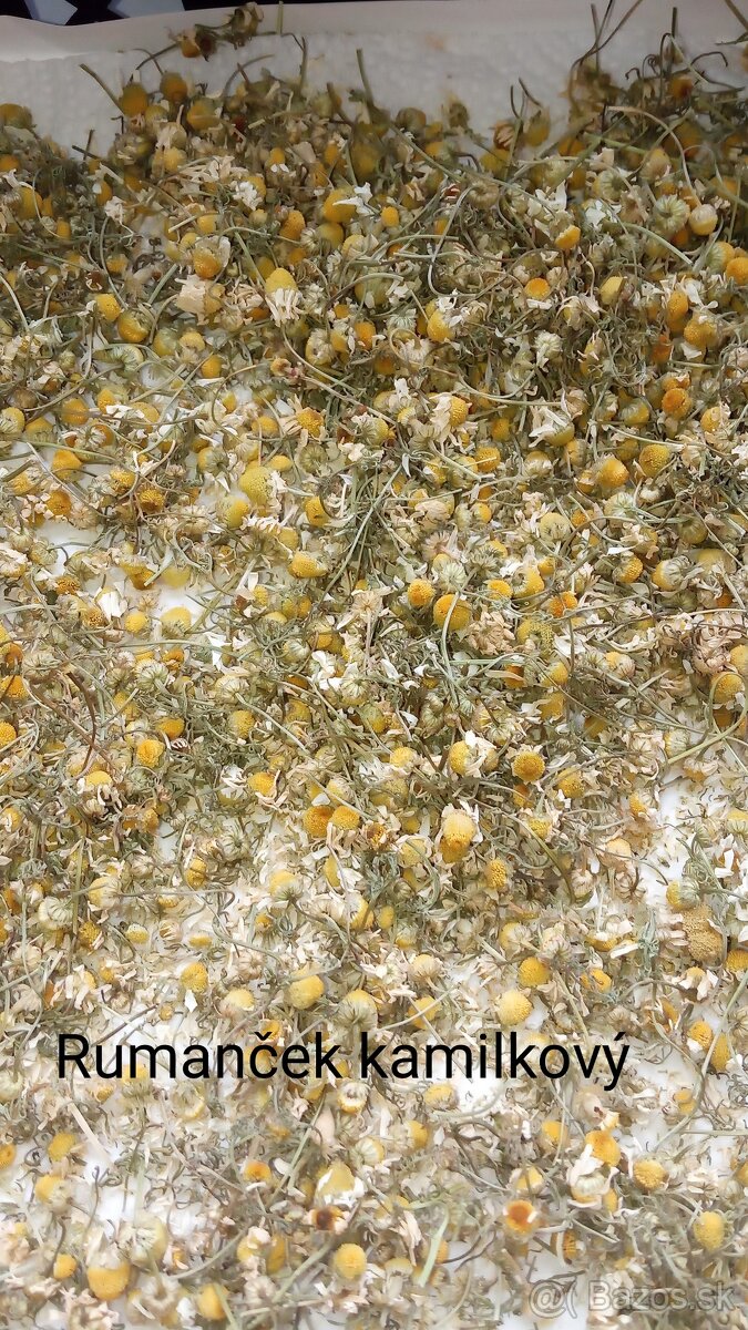 Sušené bylinky/sypaný čaj/korenie - 4