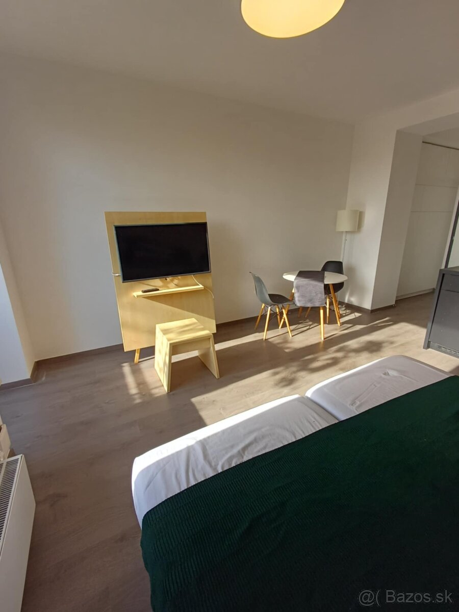 Ponukam na predaj 1 izb. byt na ul. Žilinská, BA I. - 4