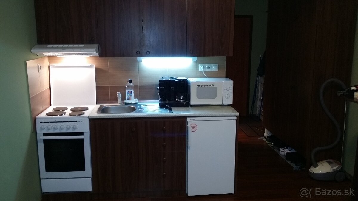 1-izbový byt, garzonka,garsonka, - 4