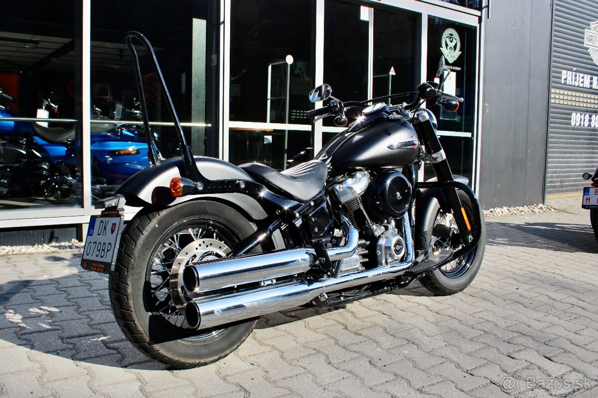 Harley Davidson Softail Slim - Odpočet DPH - 4