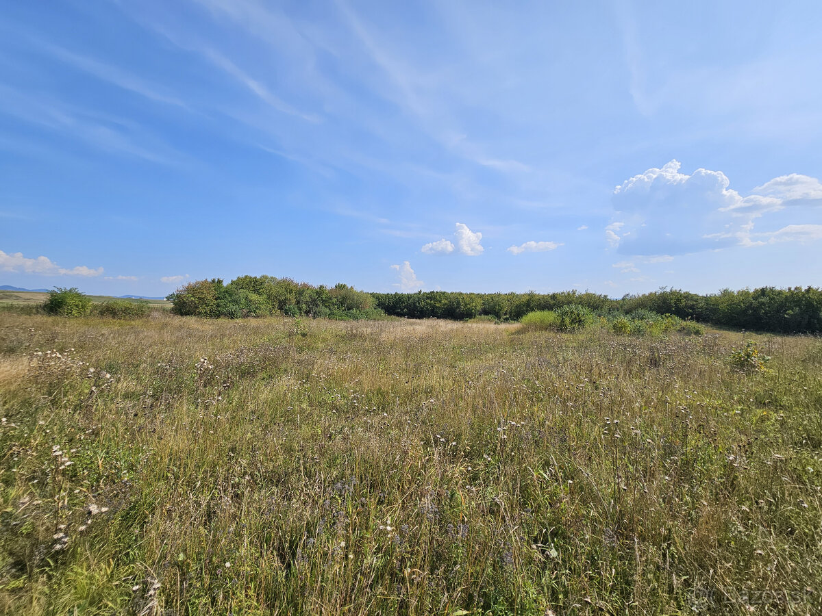 EXKLUZÍVNA PONUKA: PRIESTRANNÝ POZEMOK PRI SVLOVENSKEJ VSI - 4