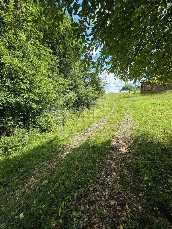 Predaj, Pozemok/Trvalé trávnaté porasty (RE01021495) - 4