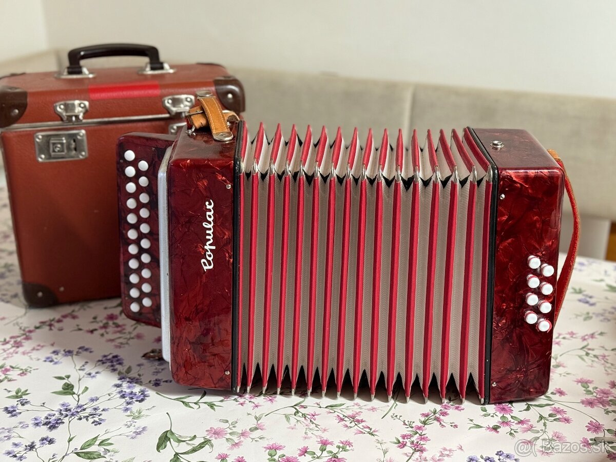 Heligonka popular delicia - 4