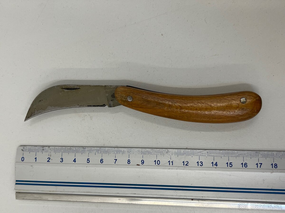 Sandrik štepársky krivák - 4