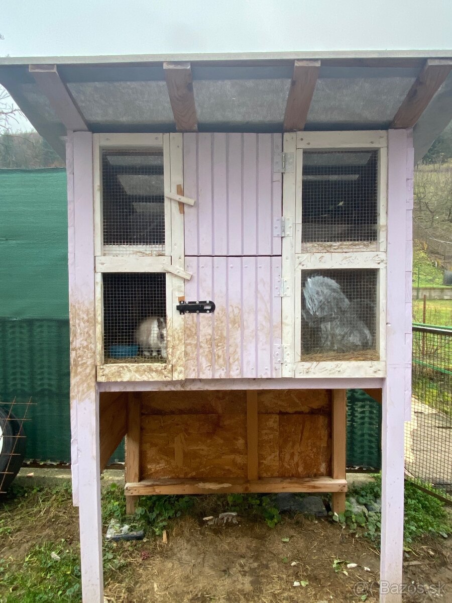 Predám do dobrých rúk - 4