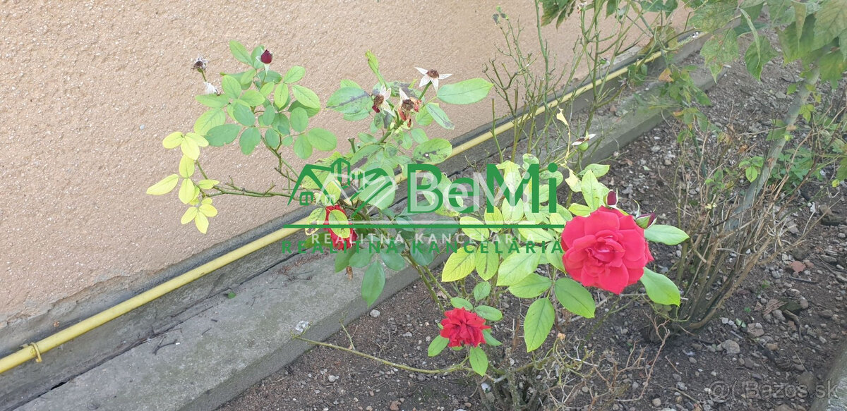 Rodinný DOM so záhradou...573m2... Vinodol (155-12-DARE) - 4