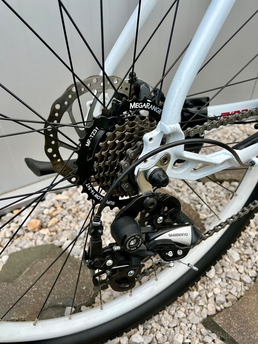 DEVRON RIDDLE LADY - 4