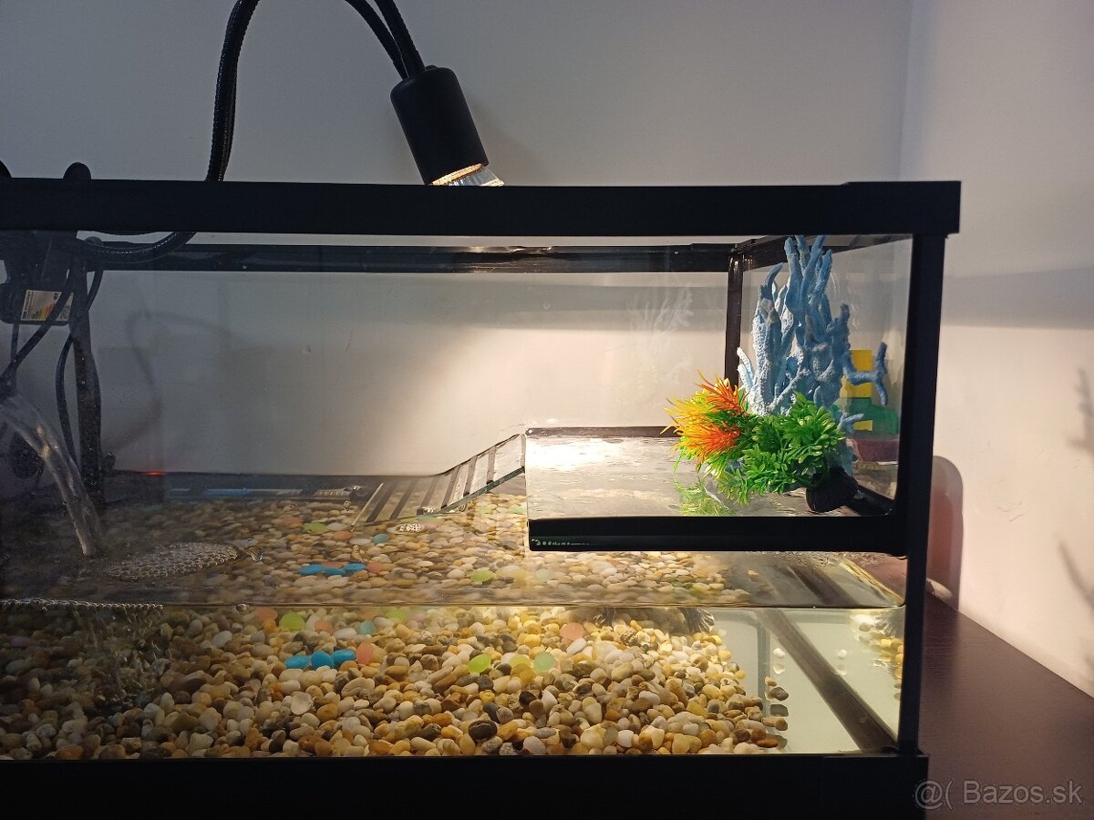 Akvarium s prislusenstvom - 4