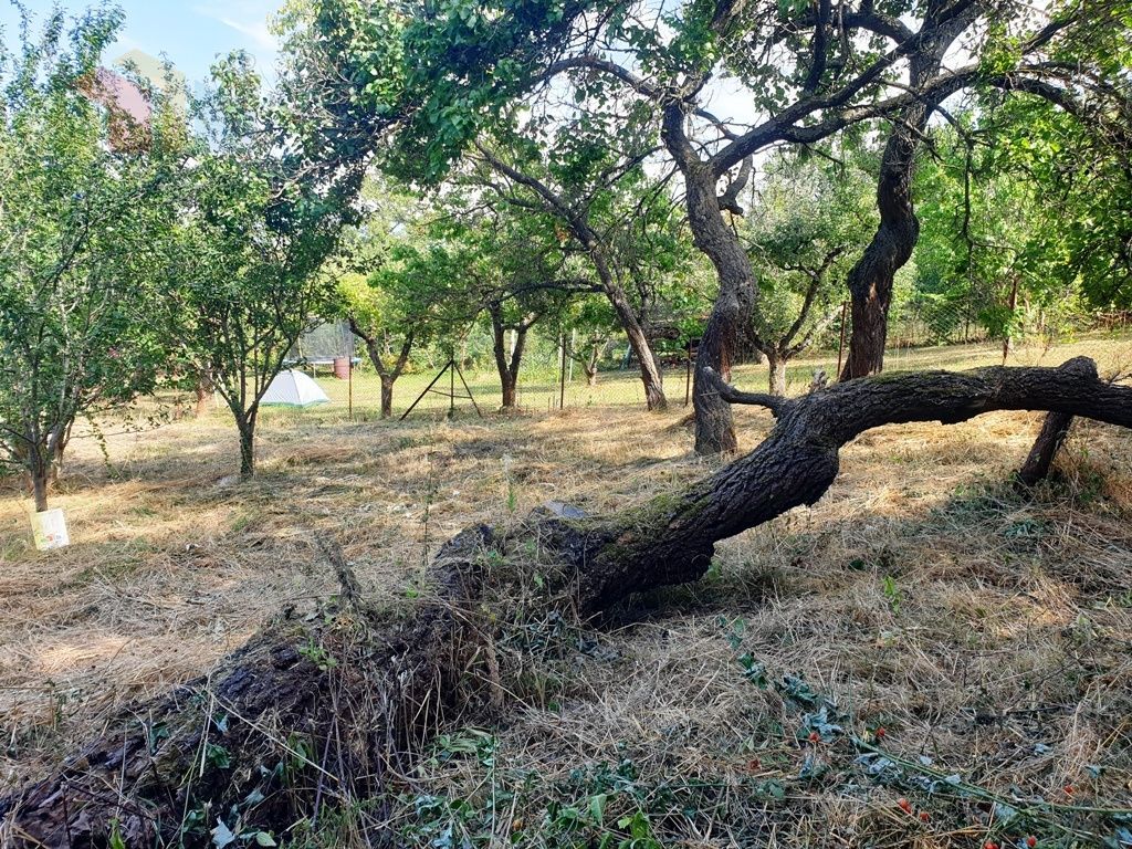 Na predaj investičný pozemok "záhrada" o výmere 691 m2 - 4