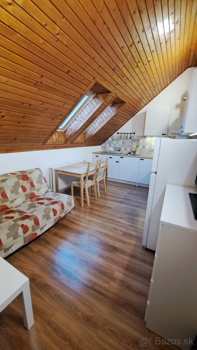 Jednoizbový byt, Lednické Rovne - 4