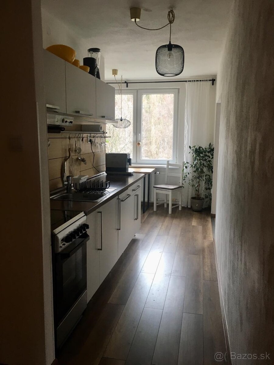 Priestranný 2-izbový byt v Políku - 4