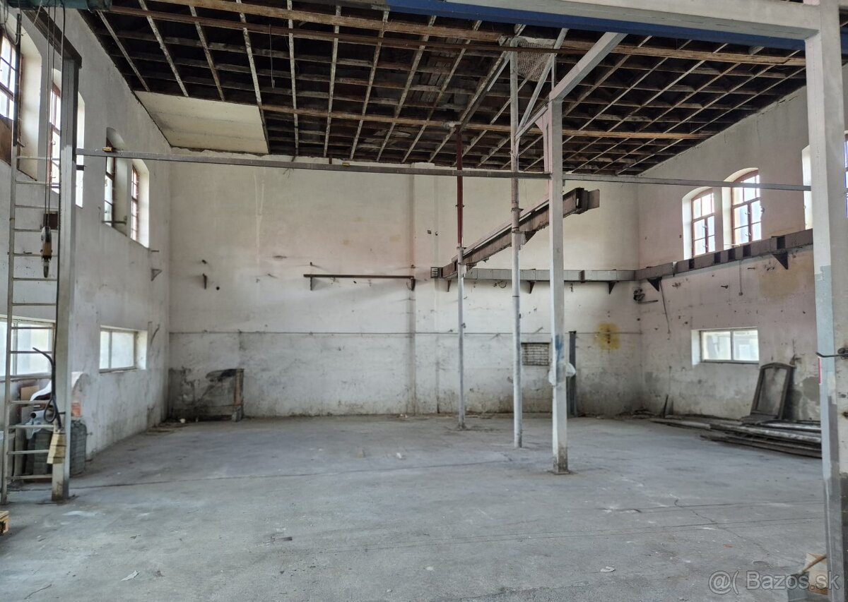Hala - Skladové alebo výrobné priestory Nové Zámky - 4