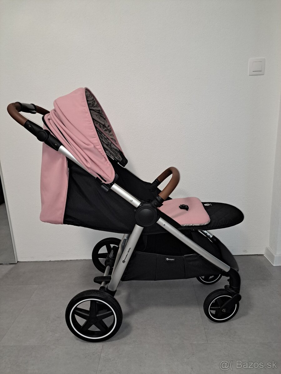 Kočík Pettite and Mars - 4