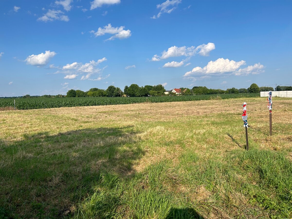 Prenájom pozemku - 4