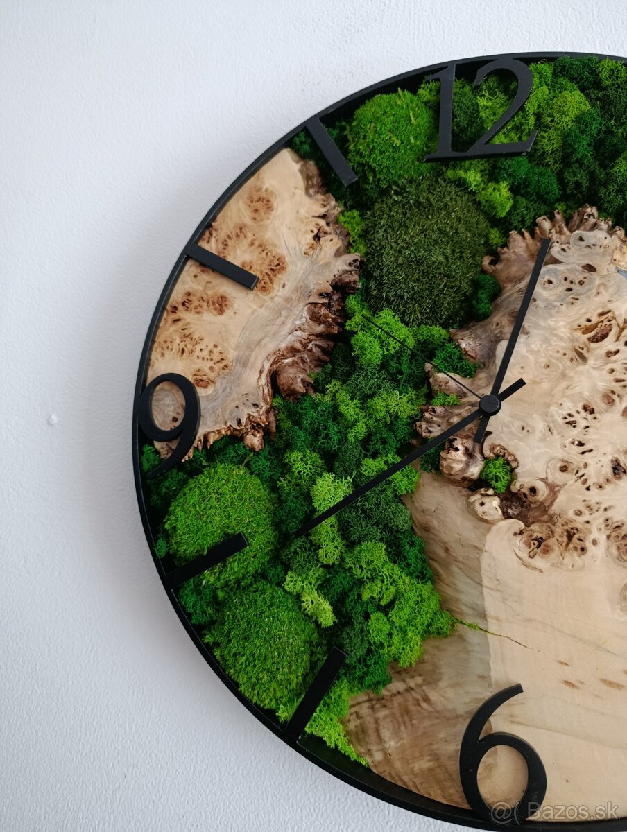 Machové hodiny s Očkovým topoľom - 4