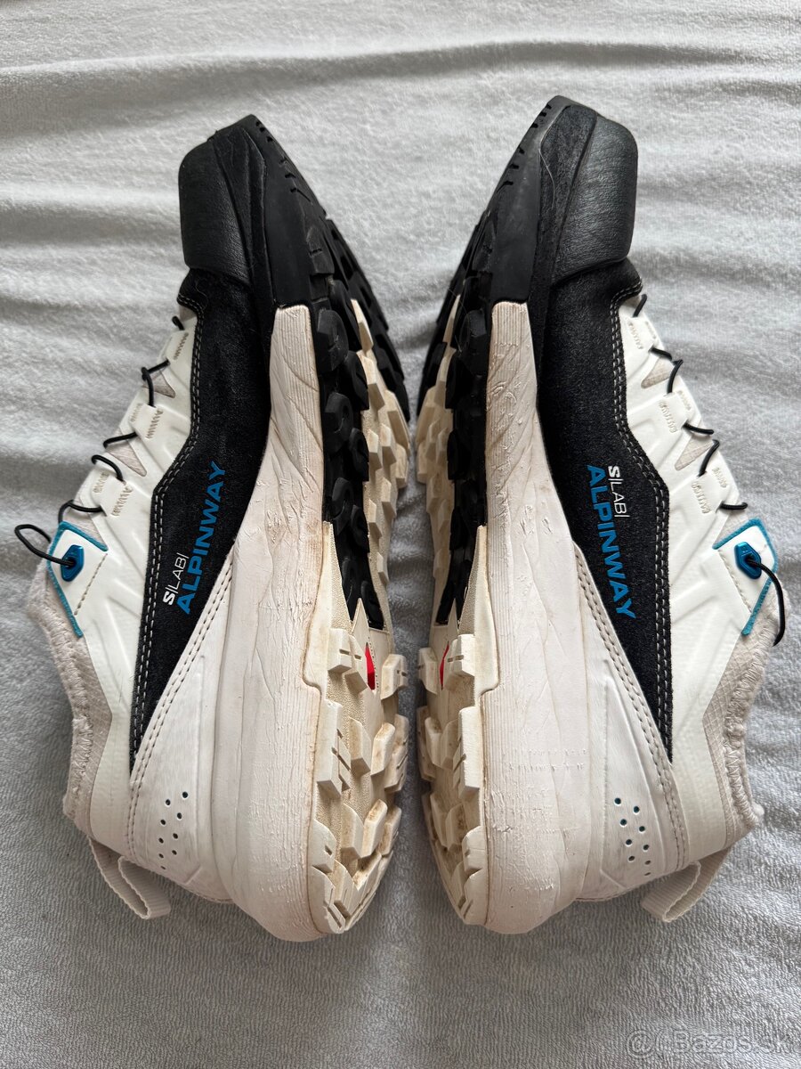 Salomon Alpinway - 4